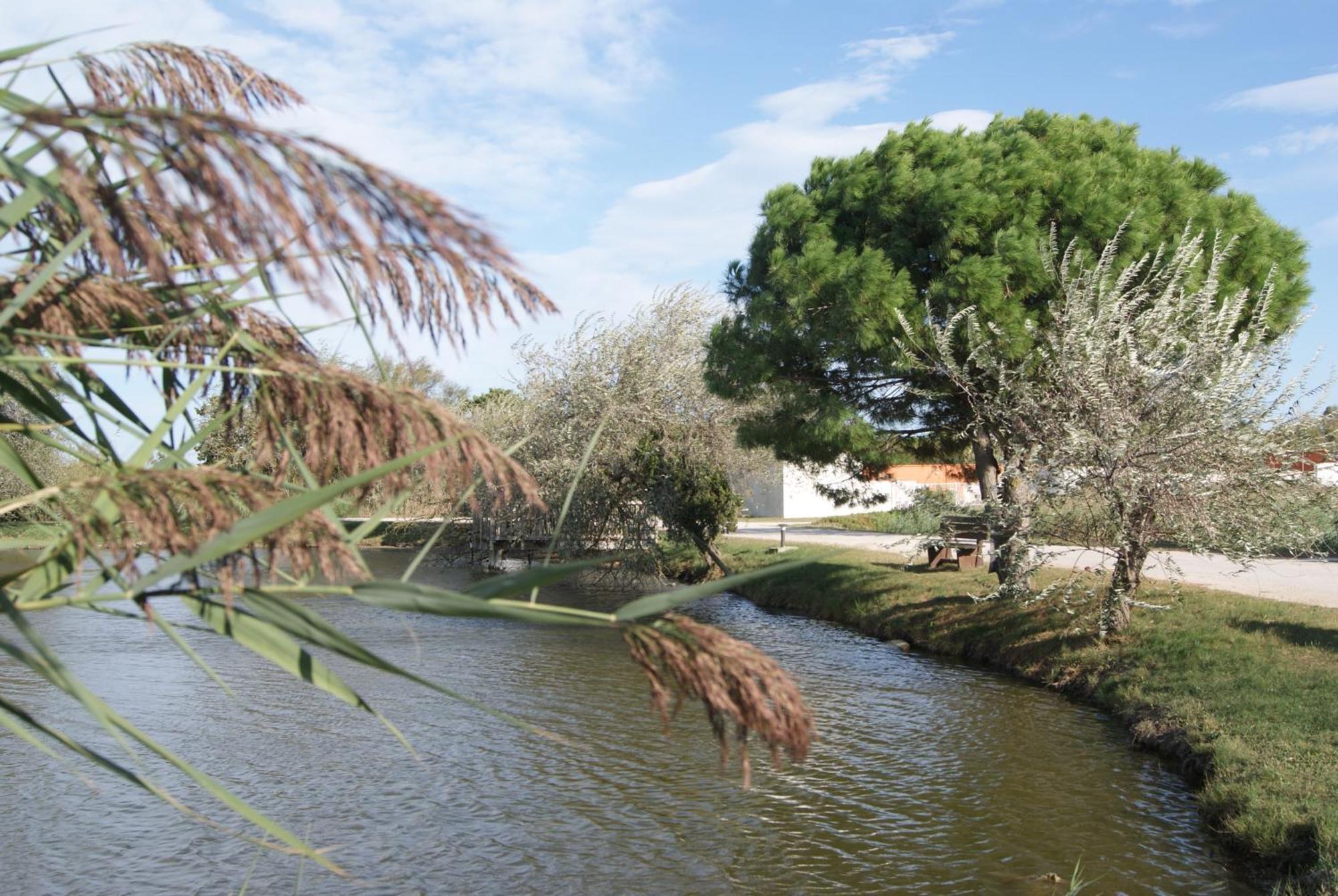Les Rizieres Hotel Saintes-Maries-de-la-Mer Luaran gambar