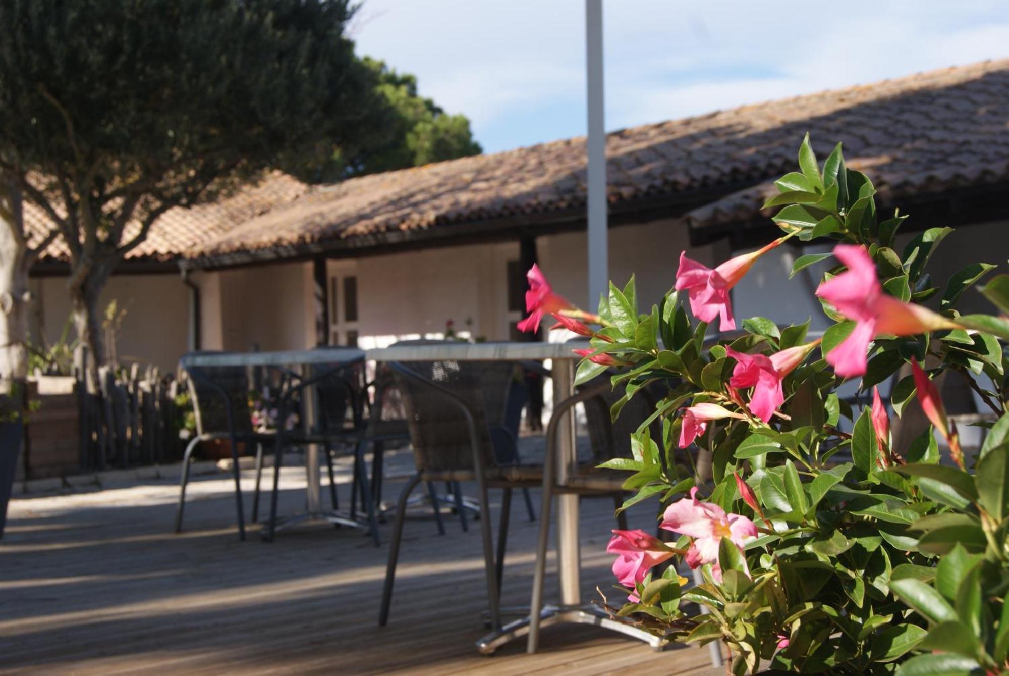 Les Rizieres Hotel Saintes-Maries-de-la-Mer Luaran gambar